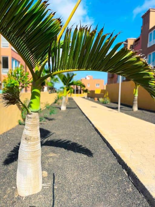 Apartamento Casa Bamboo Corralejo, Espacioso, Piscina Y Parking Екстер'єр фото