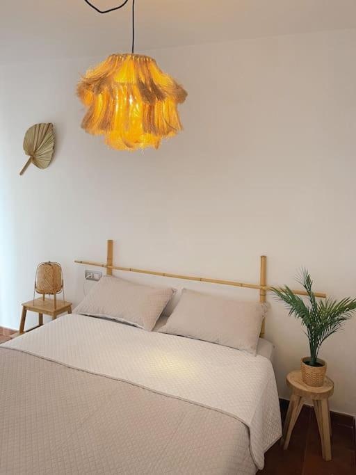 Apartamento Casa Bamboo Corralejo, Espacioso, Piscina Y Parking Екстер'єр фото