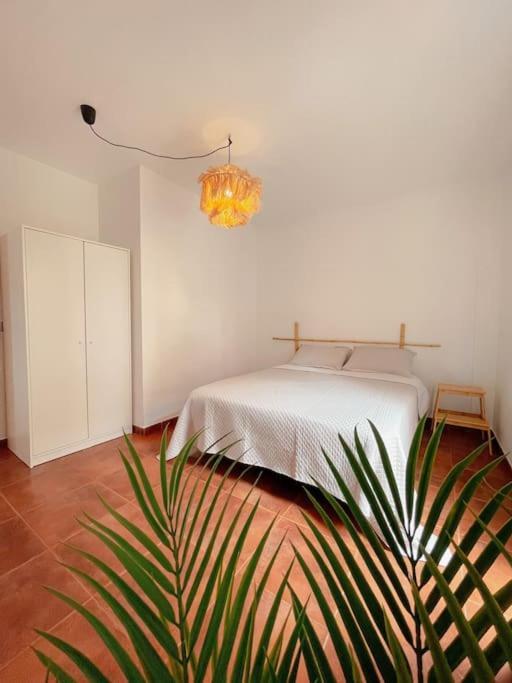 Apartamento Casa Bamboo Corralejo, Espacioso, Piscina Y Parking Екстер'єр фото