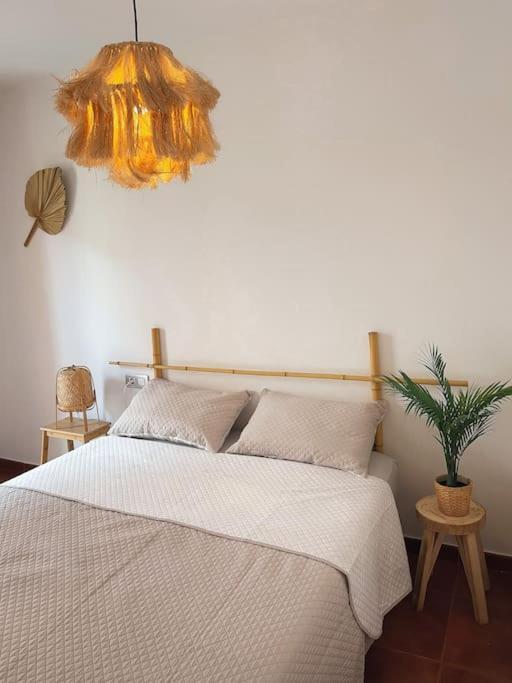 Apartamento Casa Bamboo Corralejo, Espacioso, Piscina Y Parking Екстер'єр фото