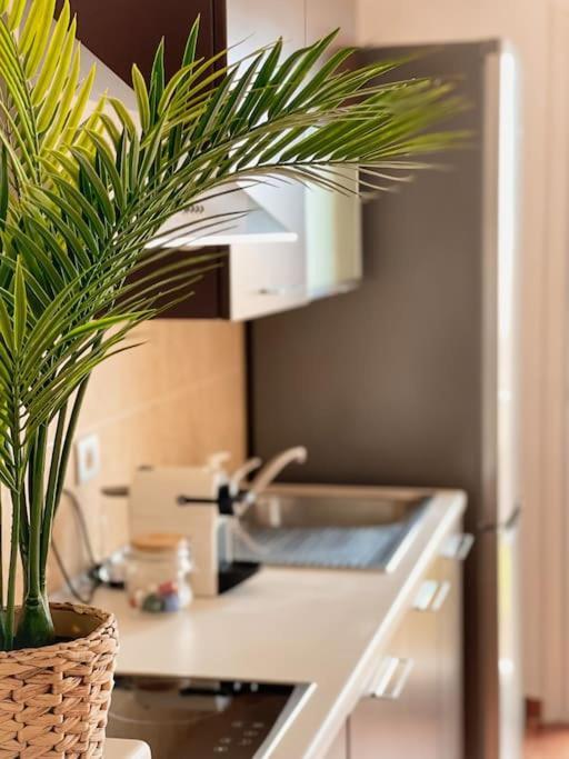 Apartamento Casa Bamboo Corralejo, Espacioso, Piscina Y Parking Екстер'єр фото